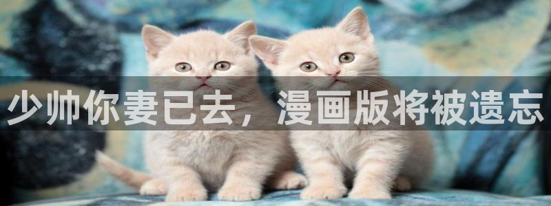 漫蛙长什么样：少帅你妻已去，漫画版将被遗忘
