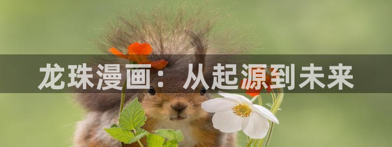 爱看漫蛙：龙珠漫画：从起源到未来