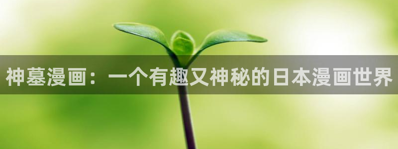 漫蛙官方：神墓漫画：一个有趣又神秘的日本漫画世界