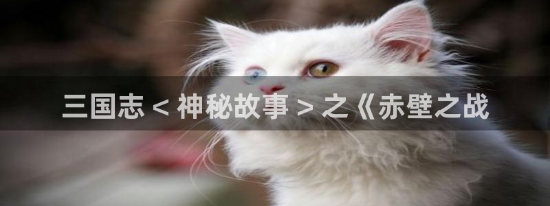 漫蛙视频：三国志 < 神秘故事 > 之《赤壁之战